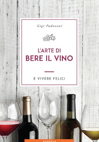vino_totem vino_totem