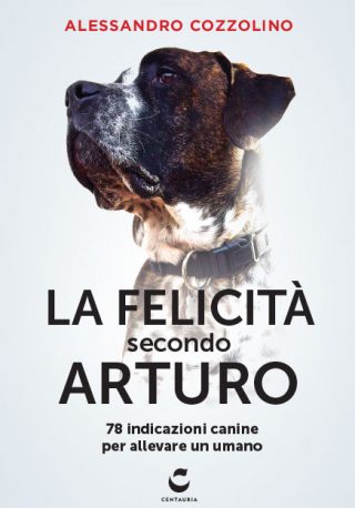 Cozzolino Cozzolino